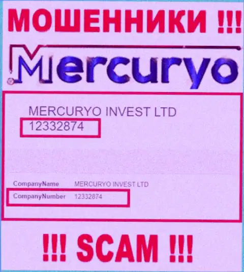 Рег. номер неправомерно действующей организации Меркурио: 12332874