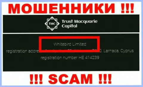 На официальном сайте TrustMCapital сказано, что этой компанией управляет Whitebird Limited