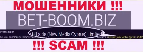 Юридическим лицом, владеющим ворами Bet-Boom Biz, является Hillside (New Media Cyprus) Limited