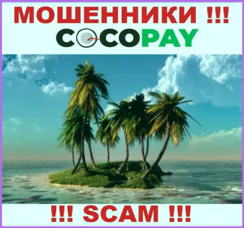 В случае отжатия ваших денег в конторе КокоПай, подавать жалобу не на кого - информации об юрисдикции нет