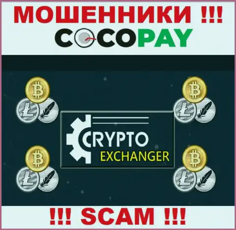 Coco-Pay Com это наглые интернет-воры, сфера деятельности которых - Internet-обменник