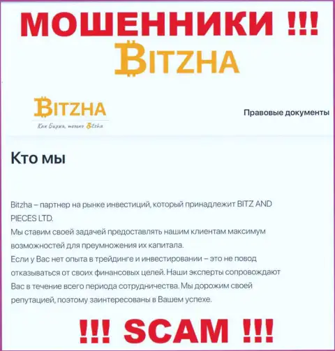 Bitzha24 - это коварные internet мошенники, вид деятельности которых - Инвестиции