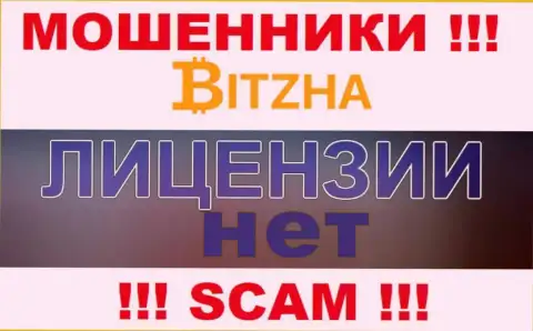 Мошенникам Bitzha24 Com не дали лицензию на осуществление их деятельности - отжимают вложения