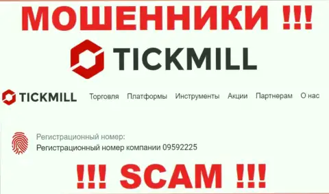 Наличие рег. номера у Tickmill Ltd (09592225) не значит что контора порядочная