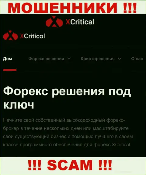 Х Критикал - это подозрительная компания, род работы которой - Forex