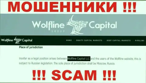 Юридическое лицо компании WolflineCapital - это ООО Волфлайн Кэпитал