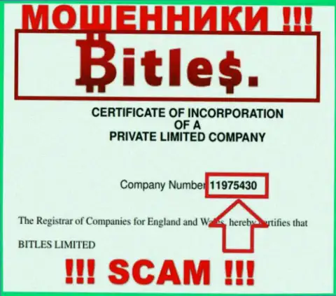 Номер регистрации internet-мошенников Битлес, с которыми рискованно иметь дело - 11975430