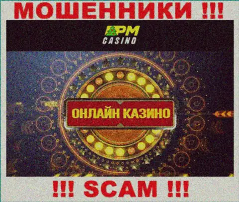 Тип деятельности интернет мошенников PM-Casinos Net - это Casino, однако знайте это обман !!!