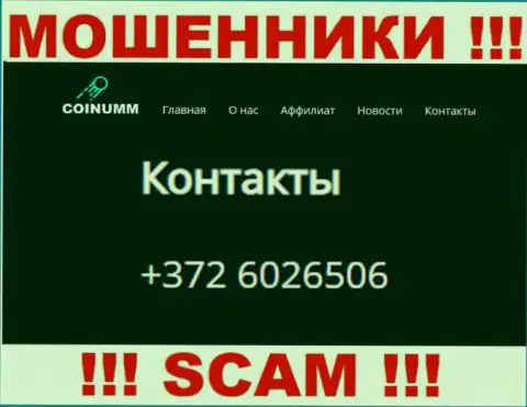 Телефон организации Coinumm, который расположен на сайте лохотронщиков