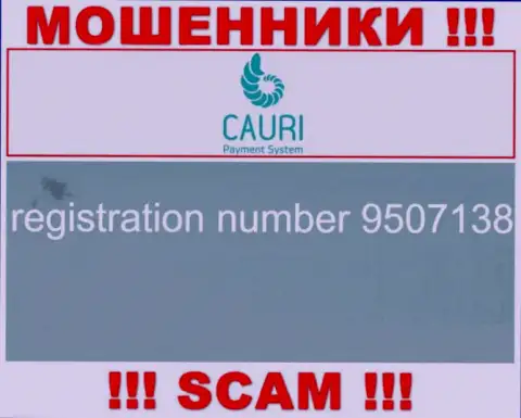 Номер регистрации, который принадлежит мошеннической организации Каури: 9507138