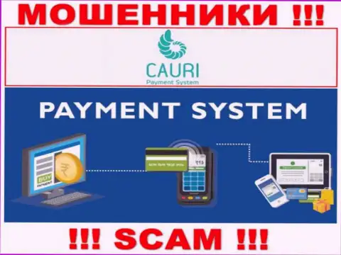 Мошенники Каури, орудуя в сфере Payment system, грабят клиентов