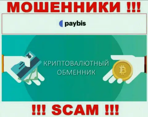 Crypto exchanger - это направление деятельности преступно действующей компании PayBis Com