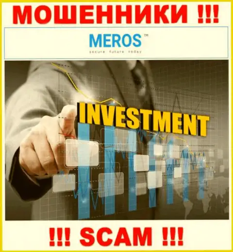 MerosMT Markets LLC жульничают, предоставляя мошеннические услуги в области Инвестиции
