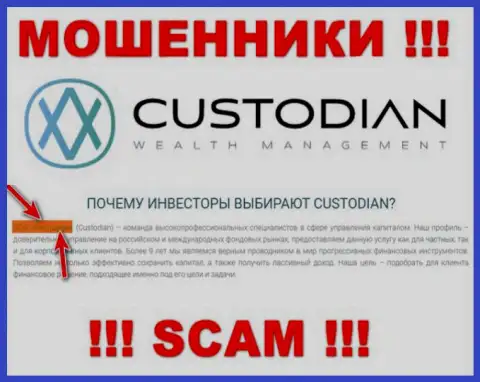 Юридическим лицом, владеющим internet ворами Custodian Ru, является ООО Кастодиан