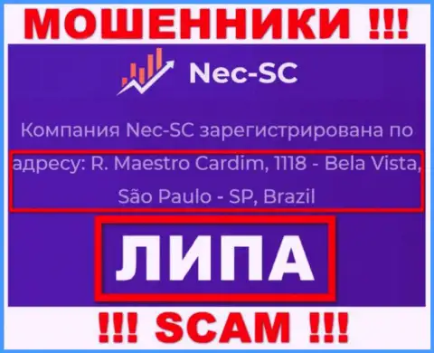Где реально осела организация NEC SC непонятно, инфа на web-портале неправда