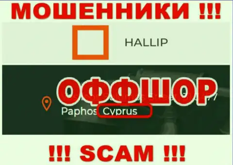Разводняк Hallip Com зарегистрирован на территории - Кипр