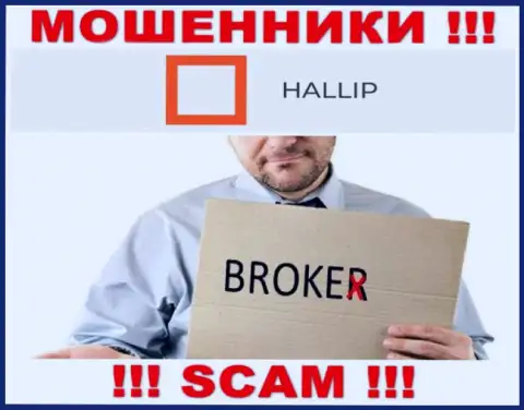 Род деятельности internet-мошенников Hallip Com - это Broker, однако помните это кидалово !!!