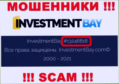 Регистрационный номер, под которым официально зарегистрирована контора InvestmentBay: 13246818
