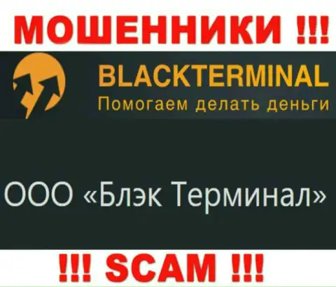 На официальном информационном сервисе Black Terminal написано, что юридическое лицо организации - ООО Блэк Терминал