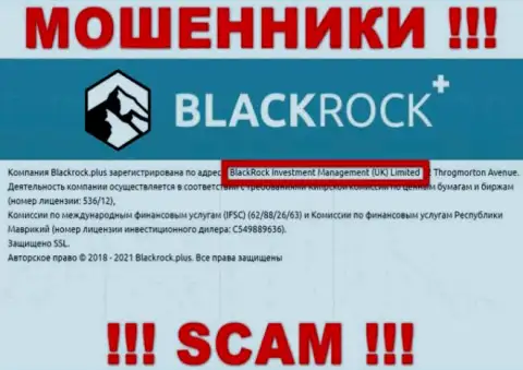 Руководителями Блэк Рок Плюс является организация - BlackRock Investment Management (UK) Ltd