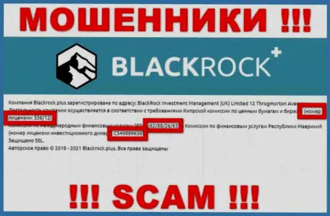 БлэкРокПлюс скрывают свою мошенническую сущность, показывая на своем web-сервисе лицензию
