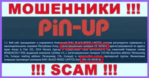 Регистрационный номер очередных мошенников всемирной сети internet организации PinUpCasino: HE 405814