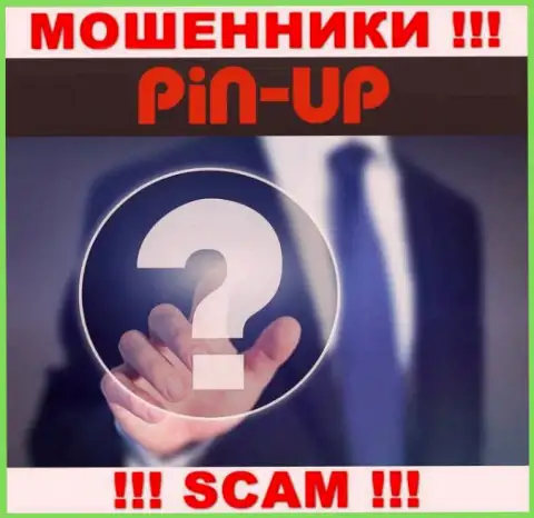 Не взаимодействуйте с internet-мошенниками Pin Up Casino - нет сведений об их непосредственном руководстве