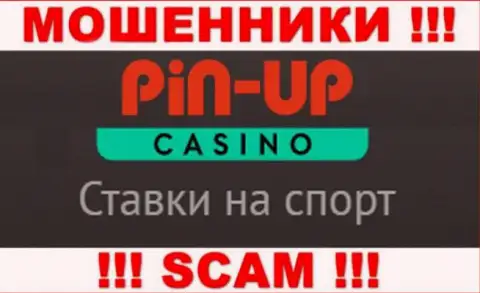 Основная деятельность Pin UpCasino - Казино, осторожно, прокручивают делишки незаконно