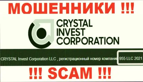 Регистрационный номер организации Crystal Invest Corporation, возможно, что и ненастоящий - 955 LLC 2021