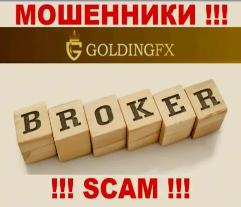 Брокер - именно то, чем промышляют интернет мошенники Golding FX