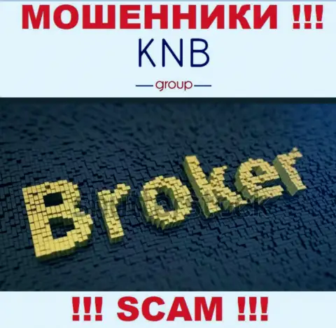 Сфера деятельности противоправно действующей конторы KNB-Group Net - это Брокер