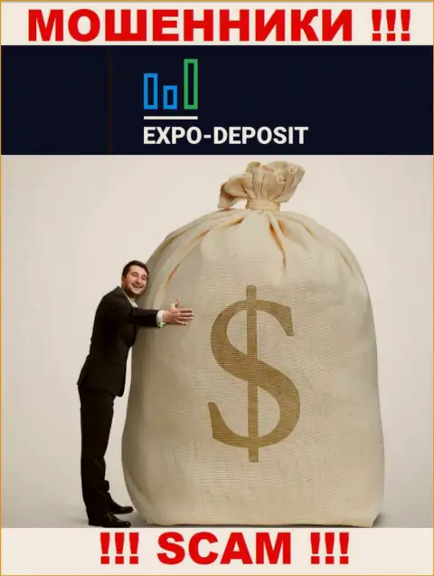 Нереально получить финансовые вложения из компании Expo-Depo, следовательно ничего дополнительно заводить не советуем