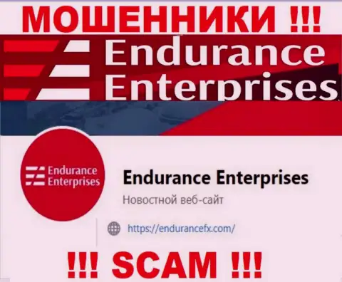 Установить контакт с интернет-мошенниками из организации Endurance FX Вы сможете, если отправите сообщение им на е-мейл
