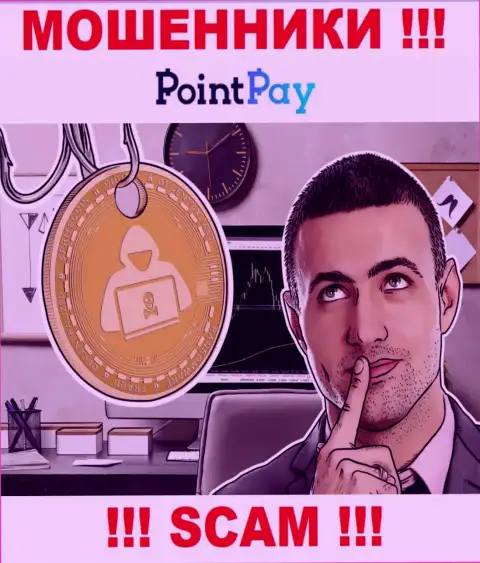 Point Pay это internet мошенники, которые подталкивают наивных людей совместно работать, в итоге оставляют без средств