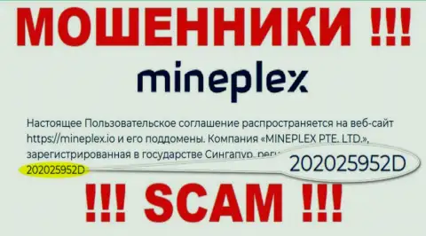 Рег. номер очередной преступно действующей конторы MinePlex - 202025952D