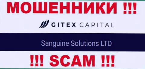 Юридическое лицо GitexCapital Pro - это Sanguine Solutions LTD, такую инфу оставили мошенники на своем сайте