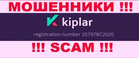 Номер регистрации организации Kiplar, в которую кровные лучше не перечислять: 25797BC2020