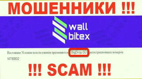 WallBitex - это МОШЕННИКИ !!! Руководит указанным лохотроном БигДроп ОЮ