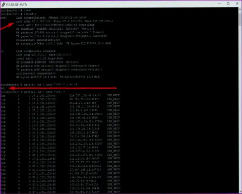 Факт DDoS атаки на сервер maximarkets.pro