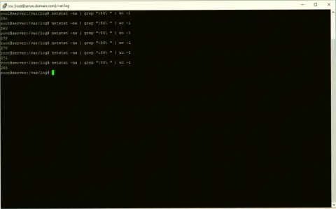 Количество коннектов, которые висят на сетевом порту веб-сервера, на котором хостится вссолюшион.нет