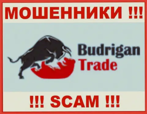 BudriganTrade Com - это МОШЕННИКИ !!! SCAM !!!