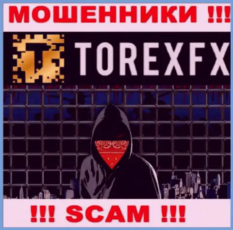 TorexFX не разглашают инфу о руководстве конторы