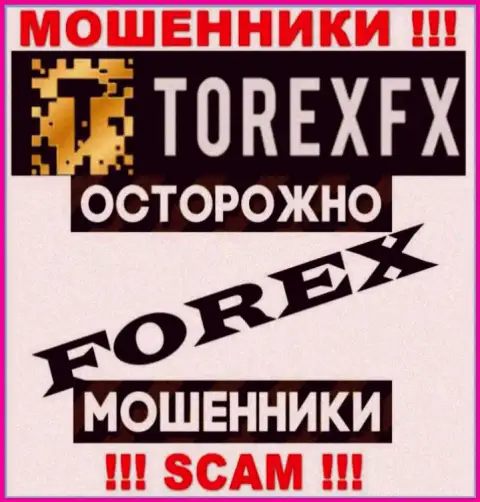 Сфера деятельности Торекс ФХ 42 Маркетинг Лимитед: Форекс - отличный заработок для мошенников